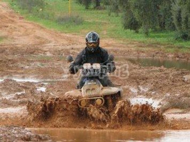 Obtén tu permiso de conducción Obtén tu permiso de conducción